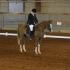 36th Music City Arabian Horse Show